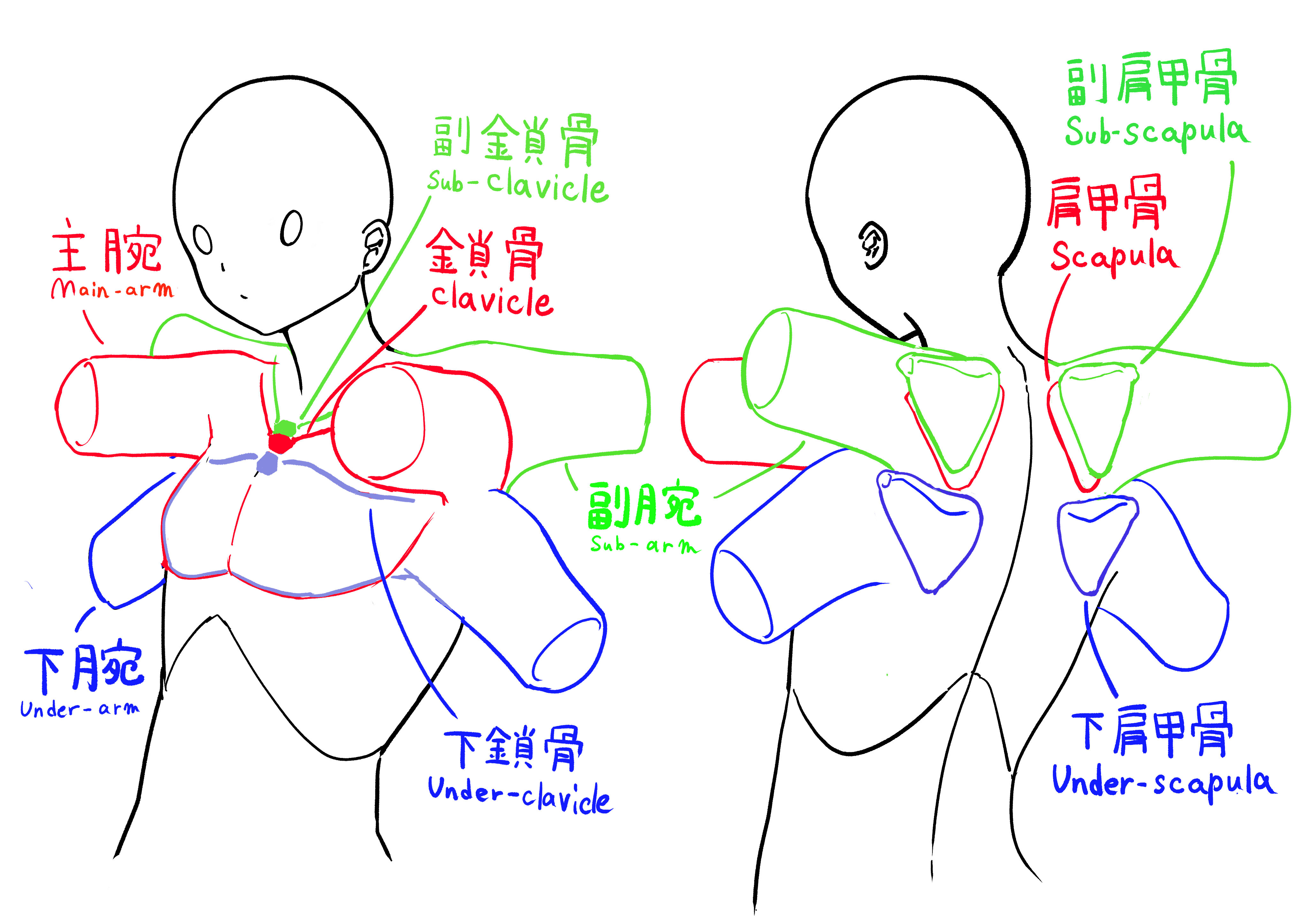 2024-11-14_多腕設計図.png